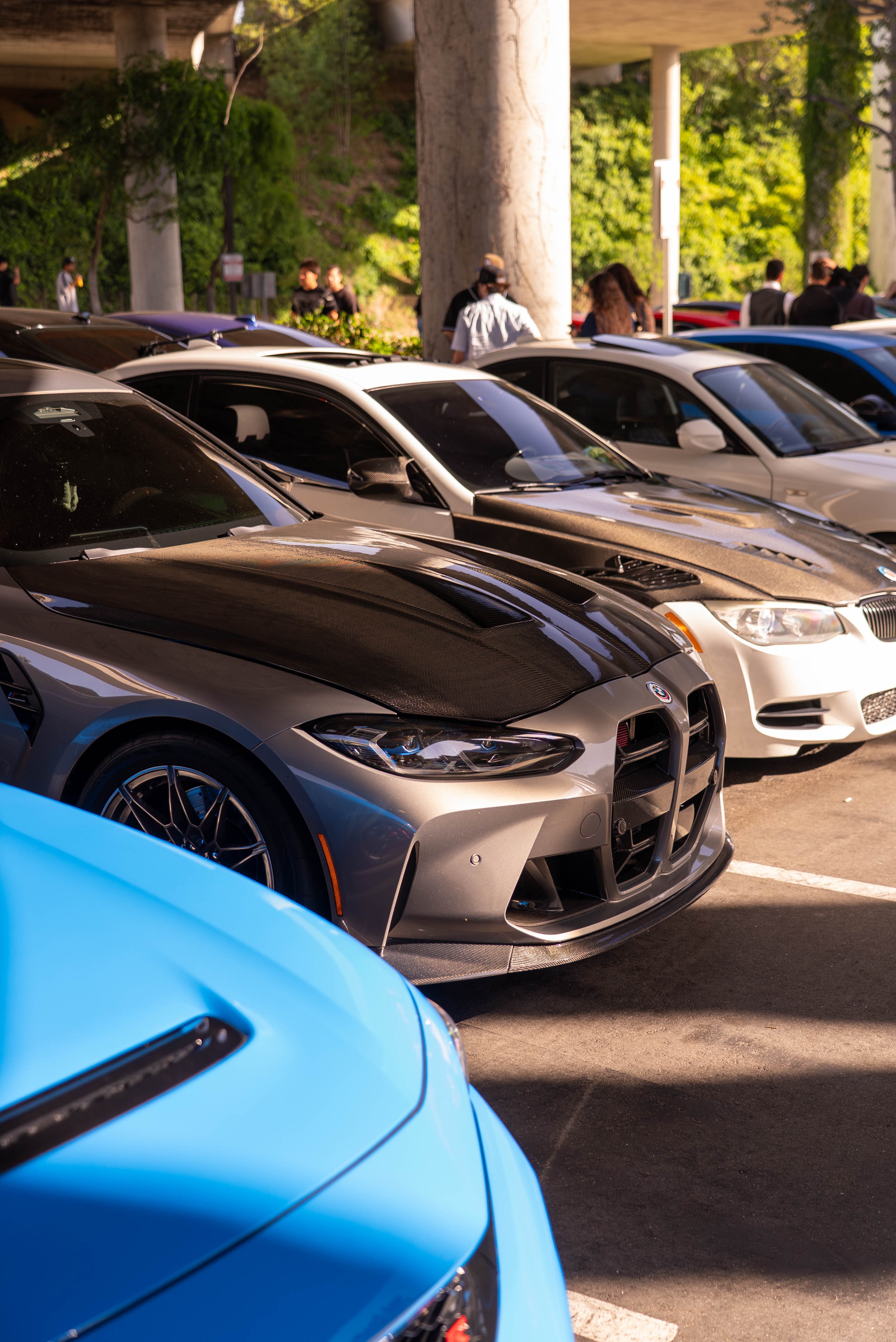 Canyons 02 – Sunset canyon run portrait